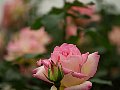 html/p5143817.html