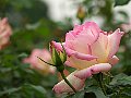 html/p5143819.html