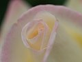 html/p5143829.html