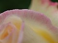 html/p5143830.html