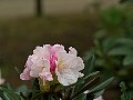html/p5143843.html