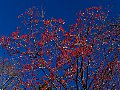 html/pc170275.html