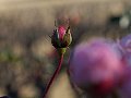 html/pc170282.html