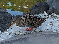 html/pc170289.html