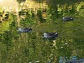 html/pc170290.html