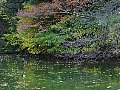 html/pc170291.html