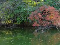 html/pc170292.html