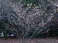 html/pc170319.html