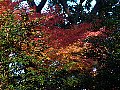 html/pc170322.html