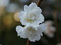 html/pc170327.html