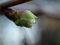 html/pc170330.html