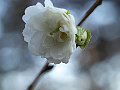 html/pc170334.html