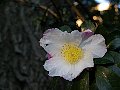 html/pc170341.html
