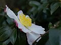 html/pc170348.html