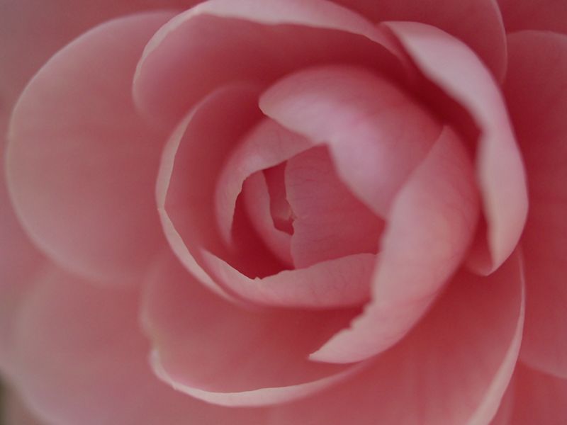 p3251270