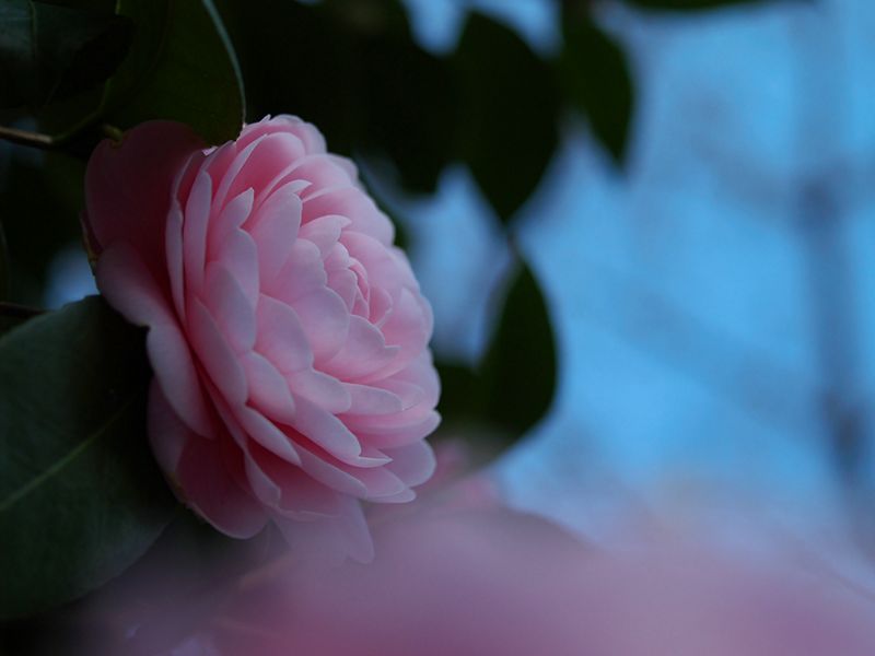 p3251284