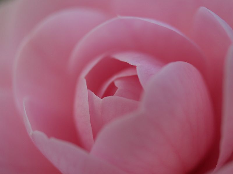 p3251323