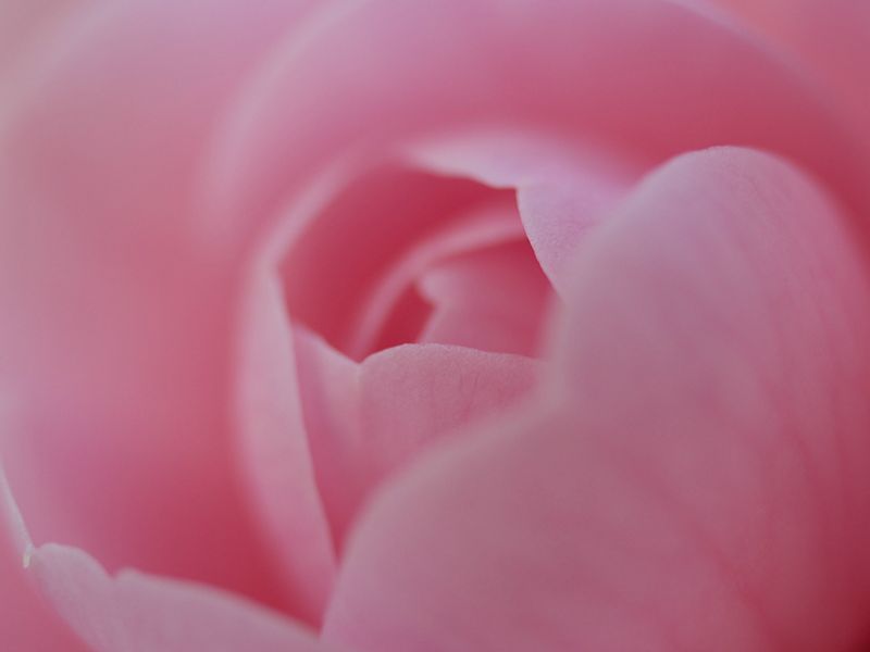 p3251324