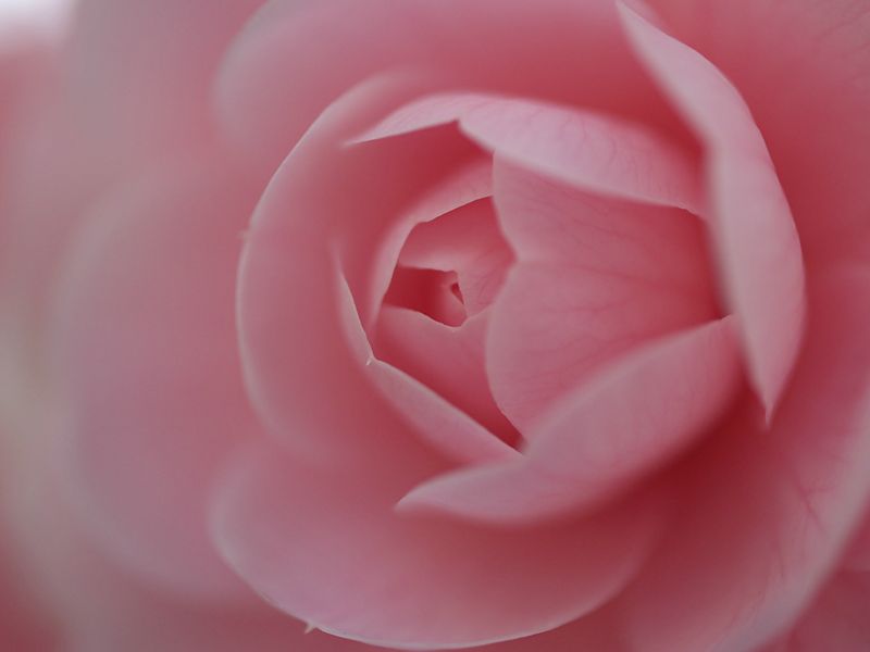 p3251392