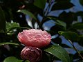 html/p3251268.html