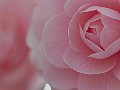 html/p3251390.html