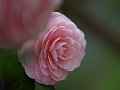 html/p3251396.html