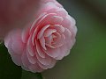 html/p3251398.html