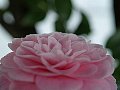 html/p4011455.html