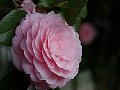 html/p4011456.html