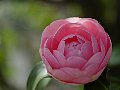 html/p4011477.html