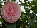 html/p4011482.html