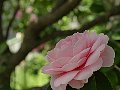 html/p4011485.html