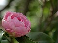 html/p4011487.html