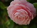 html/p4011497.html