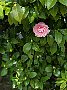 html/p4011525.html