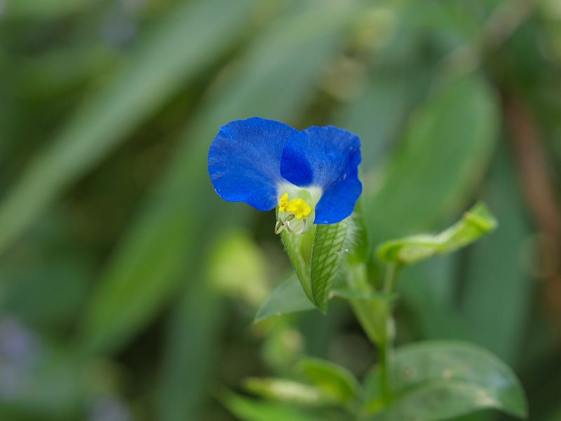 p9304261