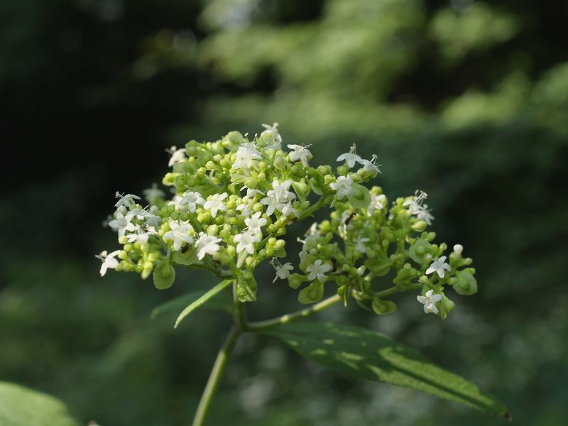 p9304262