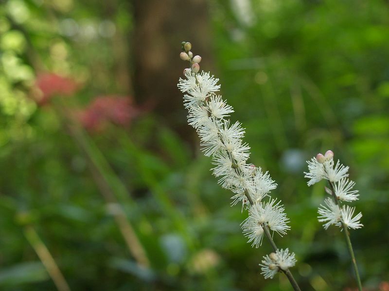p9304269