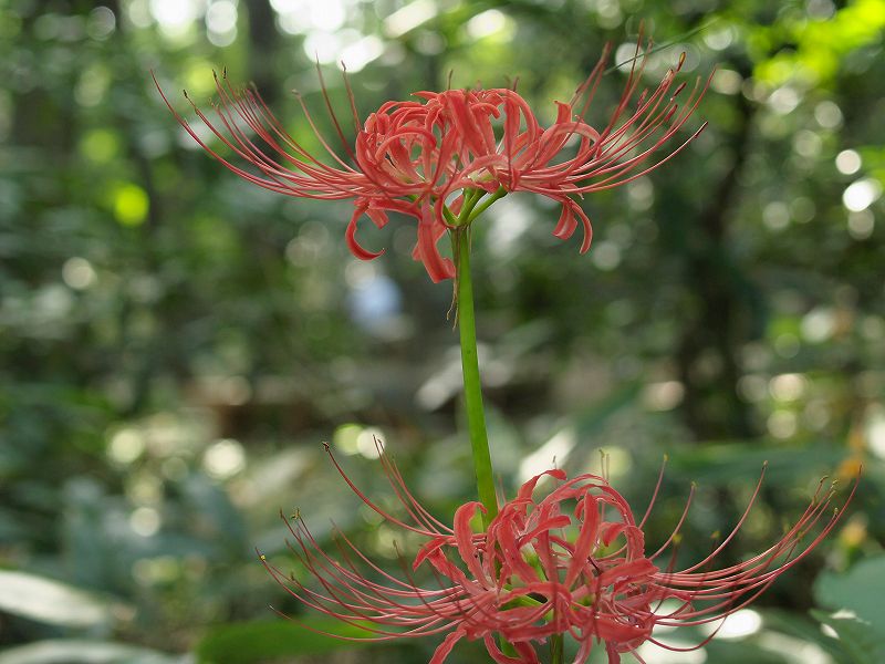 p9304270