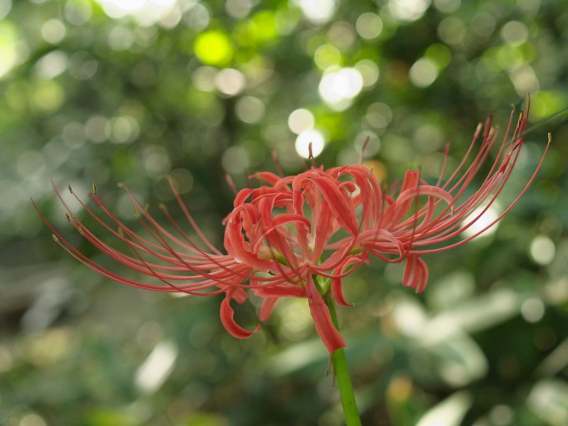 p9304272
