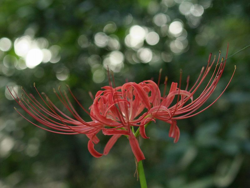 p9304278