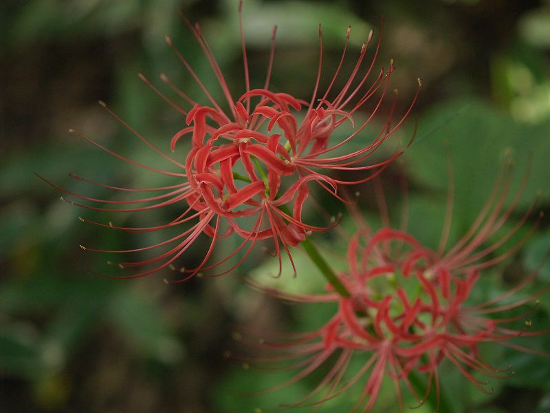 p9304281