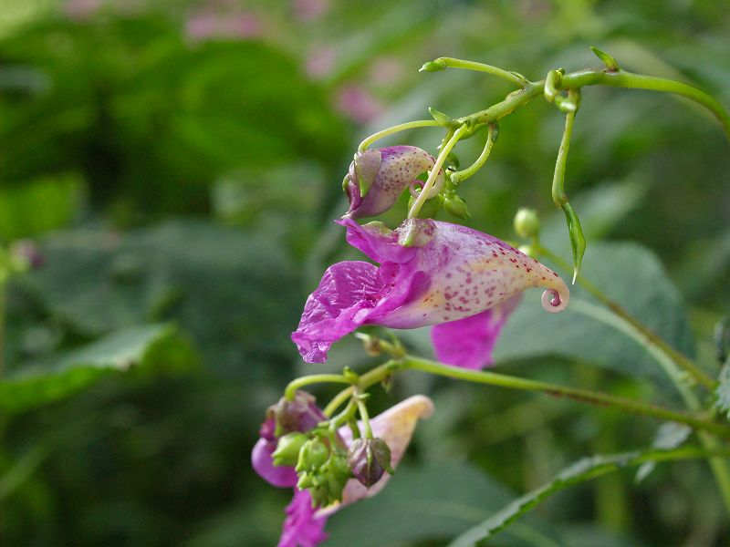 p9304287