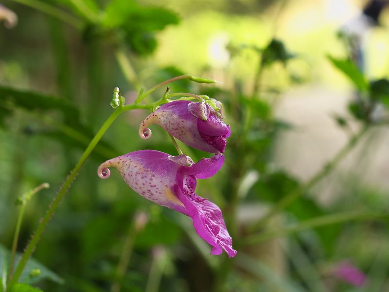 p9304291