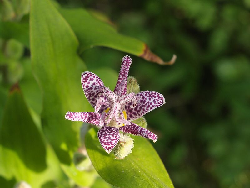 p9304293