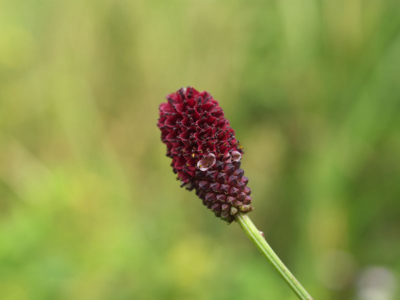 p9304297