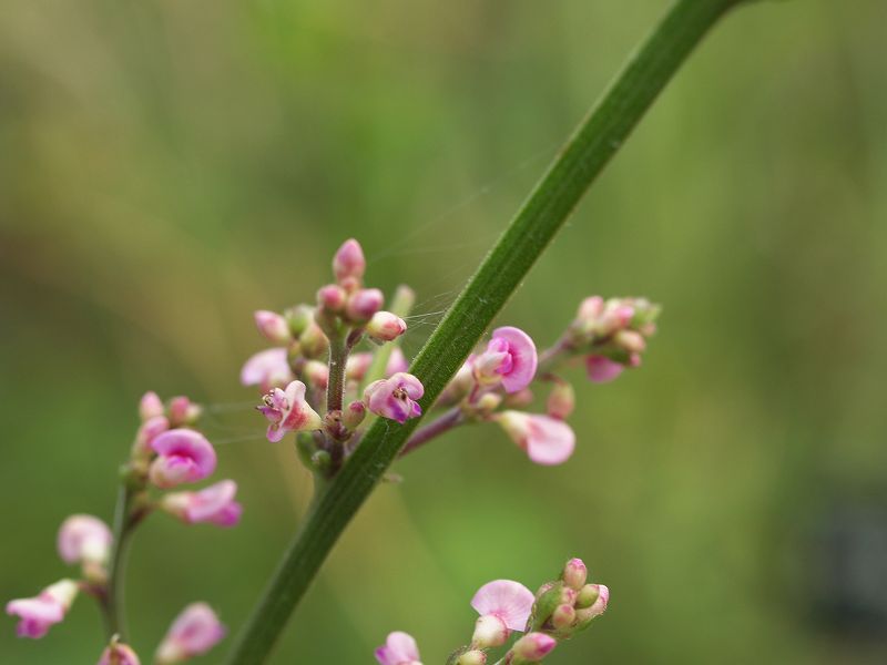 p9304298