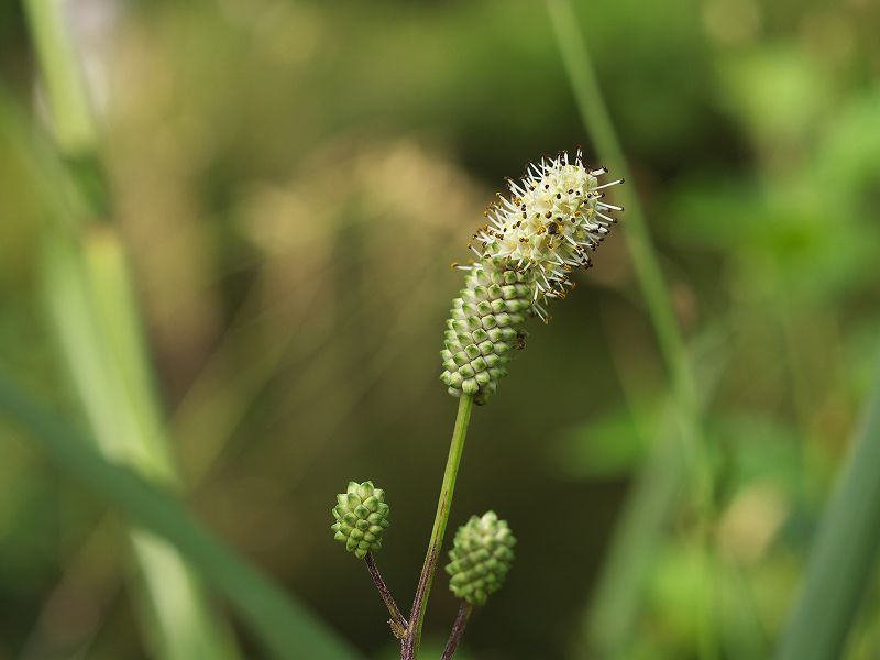 p9304302