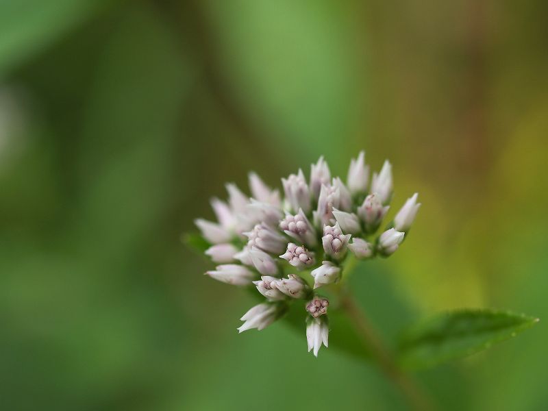 p9304308