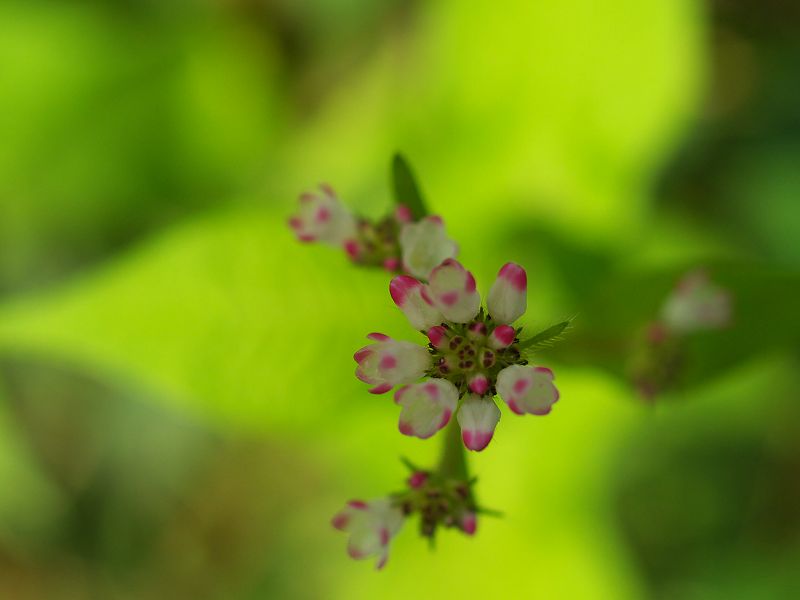 p9304311